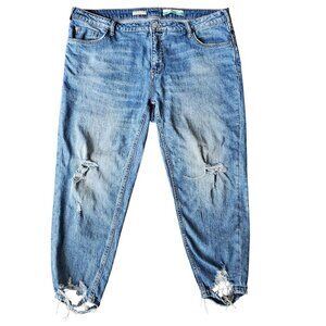 Pilcro Anthropologie Heritage Boyfriend Distressed Blue Crop Jeans Frayed Hem 16